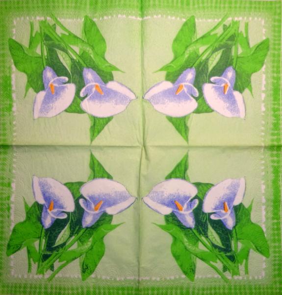 035 Calla - 3-ply